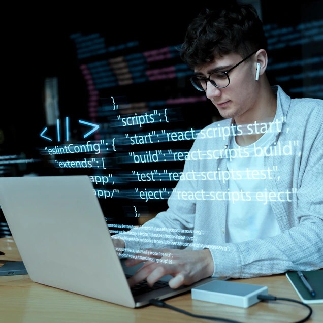 Web Application Testing Services